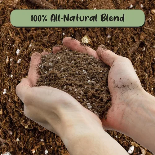 Miniatura 3 de Soil Sunrise Mezcla de tierra para macetas de olivo (12 cuartos de galón) para plantar, trasplantar y cultivar arbustos/plantas de olivo