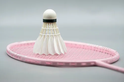 Miniatura 7 de DS-40 Premium Goose Feather Badminton Shuttlecock Multi-Pack