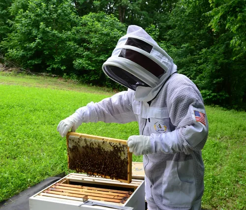 Miniatura 2 de Traje de abeja de 3 capas con velo de esgrima un par de guantes a prueba de picaduras traje de apicultura ventilado Blanco