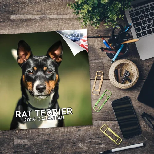 Miniatura 5 de Calendario de Rat Terrier 2025 2026 – Calendario mensual de pared de raza de perro – 12" x 24" abierto – Papel grueso que no se corre – Para regalo