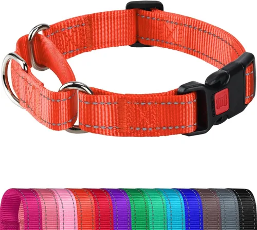 Miniatura 8 de Joytale - Collar martingale para perros, reflectante de alta resistencia para seguridad, hebilla de liberación rápida, collares ajustables de nailon