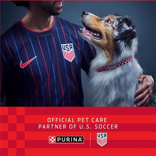 Miniatura 3 de Purina ONE Comida seca para perros con fórmula de cordero y arroz, bolsa de 16.5 libras