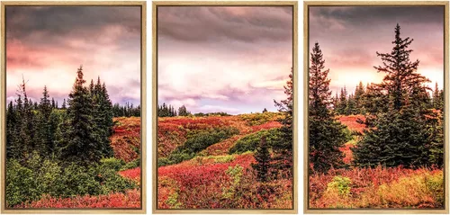 Miniatura 41 de SIGNWIN Lienzo enmarcado para pared, juego de arte nublado de tormenta, cielo, bosque otoñal, árboles, rústico, naturaleza, fotografía, realismo