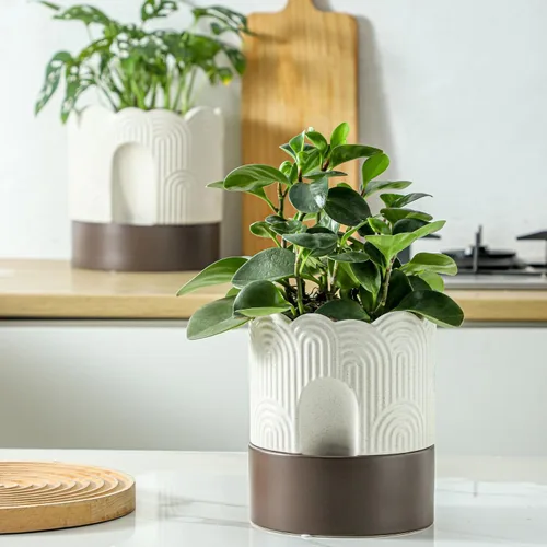 Miniatura 4 de Nihow Maceta de riego automático: maceta de cerámica de 6 pulgadas con orificio de drenaje y almacenamiento de agua, maceta de riego automático