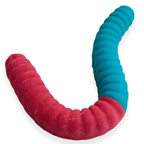 Miniatura 7 de Gusano de gomita gigante agrio – Caramelo de gomita grande de 2 libras con gran sabor picante de GGB Candies (cereza/naranja)