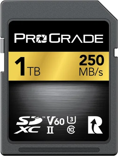 Miniatura 9 de Tarjeta SD UHS-II de 128 GB V60 – Velocidad de escritura de hasta 130 MB/s y velocidad de lectura de 250 MB/s para vloggers profesionales