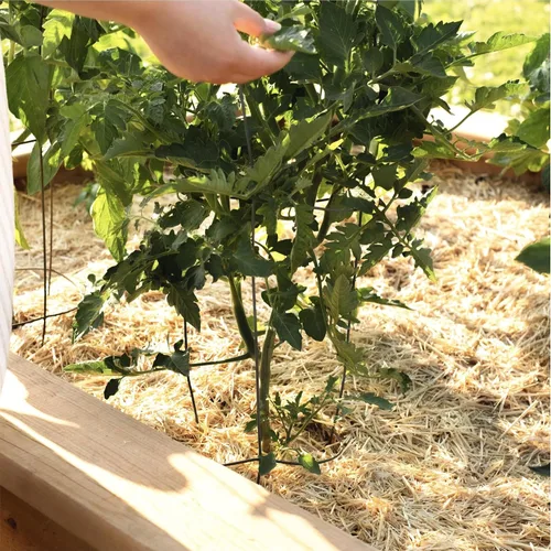 Miniatura 5 de Caja de mantillo GardenStraw de HealthiStraw, 2 pies cúbicos (10 lb) – Paja de trigo 100% natural y sostenible para jardines, siembra de césped