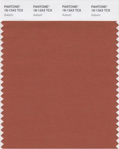 Miniatura 17 de PANTONE Tarjeta de muestra de color inteligente 18-1314X, bellota