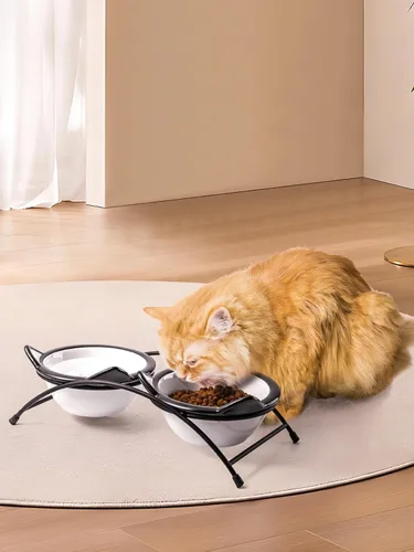Miniatura 7 de Y YHY Cuencos de comida para gatos, cuencos elevados de 12 onzas para comida y agua, platos elevados de cerámica para mascotas con soporte, gatos