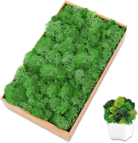 Musgo de reno preservado, musgo decorativo verde de 7 onzas para plantas en maceta, jardines de hadas, arte de pared de bricolaje, arreglos