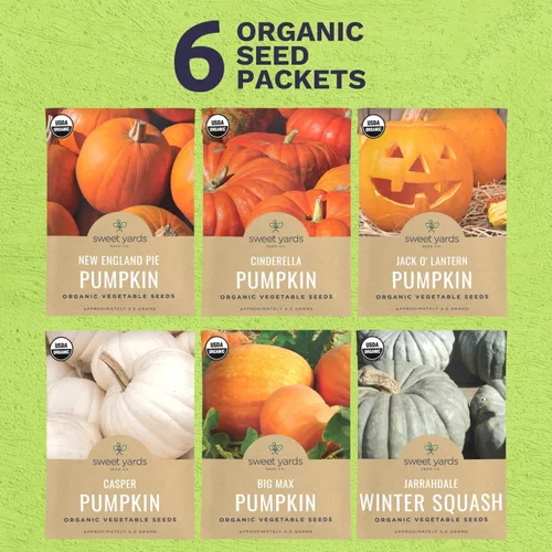 Miniatura 2 de Paquete variado de semillas de calabaza orgánicas, 6 paquetes individuales, temporada 2026, Jack O' Lantern, Cenicienta, Big Max y mucho más