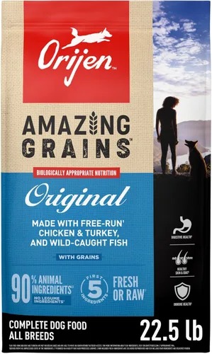 ORIJEN Amazing Grains - Alimento seco para perros con alto contenido de proteínas, receta original, bolsa de 22.5 libras