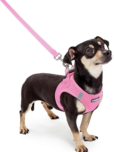 Miniatura 150 de rabbitgoo Juego de arnés para perro de tamaño pequeño y correa, chaleco ligero suave para cachorro, arnés de malla transpirable para mascotas