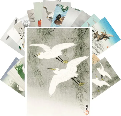 Miniatura 4 de Pixiluv Postales vintage (24 piezas de 10x15 cm cada una) Ilustración de libro botánico antiguo de colibríes y pájaros pequeños Tarjetas de nota Agua