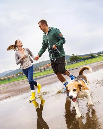 Miniatura 8 de Correa larga para entrenamiento de perros de 10 pies, 16 pies, 30 pies, 50 pies, 100 pies, cuerda de hilos reflectantes, correa resistente para Negro