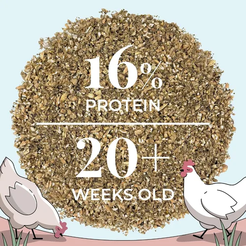 Miniatura 8 de Mile Four Alimento Orgánico para Pollos – Puré de Ponedoras, Sin OGM, Cultivado en EE.UU., 16% Proteína, Sin Maíz, Sin Soja, Alimento No Medicado