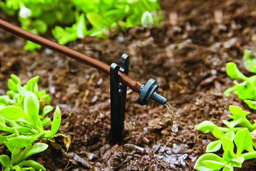 Miniatura 2 de Raindrip R560DP Sistema de riego por goteo, sistema de riego por goteo automático con temporizador para maceteros y canastas colgantes, riega hasta