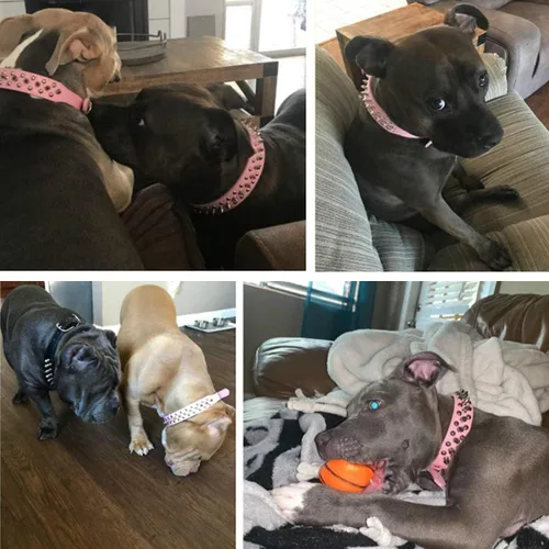 Miniatura 3 de TEEMERRYCA Collares de cuero ajustables con pinchos y tachuelas para perros con una bola chirriante de regalo para mascotas pequeñas, medianas y Rosa