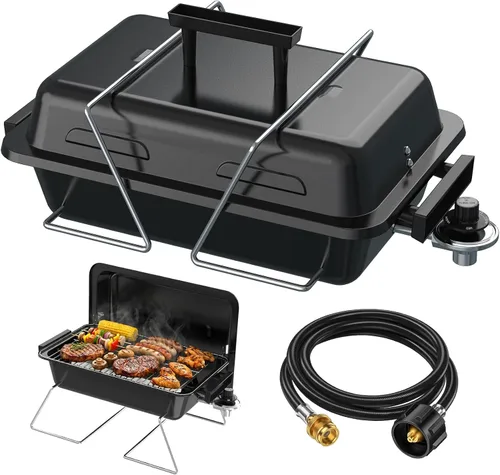 Miniatura 11 de Parrilla