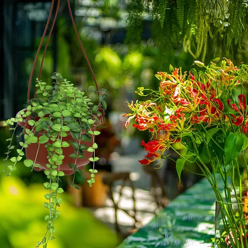 Miniatura 9 de DOITOOL Macetas colgantes de plástico con gancho para plantas Chlorophytum Octogonal Ventilado Root Plantador para Balcón Jardín Decoración