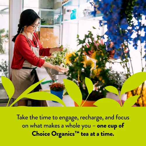 Miniatura 5 de Choice Organic Teas Té verde de jazmín, té verde perfumado con flores de jazmín, comercio justo, compostable, contiene cafeína, 16 bolsas de té