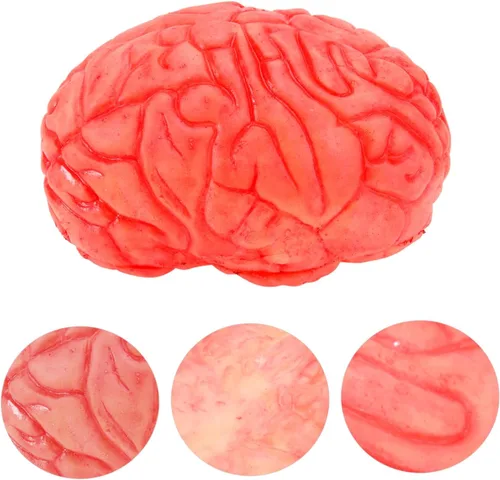 Miniatura 8 de ARTIBETTER Halloween partes del cuerpo zombi cerebro halloween Cerebro decoración accesorios fiesta accesorios falsos decorar prótesis mano prótesis