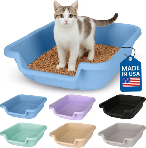 Miniatura 31 de KittyGoHere - Caja de arena para gatos mayores, sartén pequeña con cuchara jumbo de mango largo, caja de arena para gatos de entrada baja, ligera