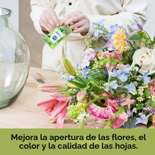 Miniatura 7 de Chrysal Paquetes de comida de flores transparentes - Paquete individual - Arreglos florales y ramos - Suministros florales para flores frescas