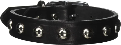 Miniatura 5 de Leather Brothers 12LS-BK12 - Collar de perro de cuero Latigo con tachuelas, tamaño pequeño, color negro