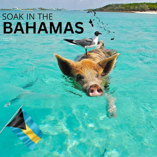 Miniatura 5 de Remoje de baño de las Bahamas (2 remojos por bolsa) Remoje en aguas termales de todo el mundo con Medicine Springs Sal del mar Muerto para remojar