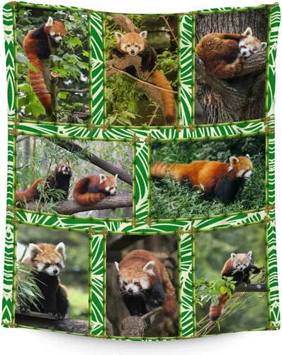 Miniatura 16 de Manta de panda rojo para niños, suave, mullida y acogedora, manta de regazo de 30 x 40 pulgadas para sofá, oficina, mantas cálidas negras para regalo