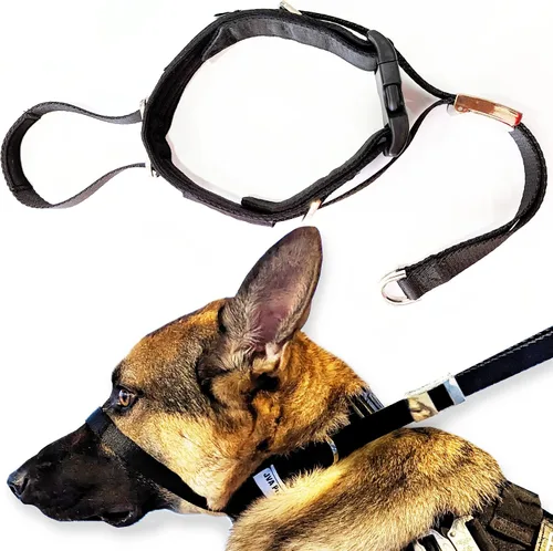 PetsProMax - Collar de cabeza de perro para perros tiradores y reactivos, collar de entrenamiento sin tirones con gancho de correa detrás de la