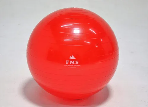 Miniatura 4 de FIM ISU 25.6 in Fitness Stability Ball • Yoga Balance Ball • Ejercicio Entrenamiento Bola INCLUYE Bomba de Pie