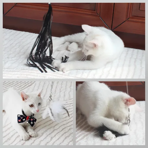 Miniatura 6 de SONGWAY Juguetes de varita para gatos de interior, juego de juguetes para gatos con varita retráctil y 6 recambios de juguetes de plumas, juguetes