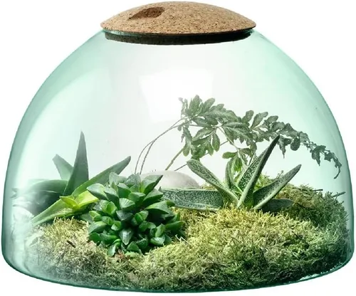 Miniatura 6 de LSA International Maceta de jardín cerrada de 6.5 pulgadas, jarrón moderno de vidrio reciclado hecho a mano de lujo con base abovedada y tapa