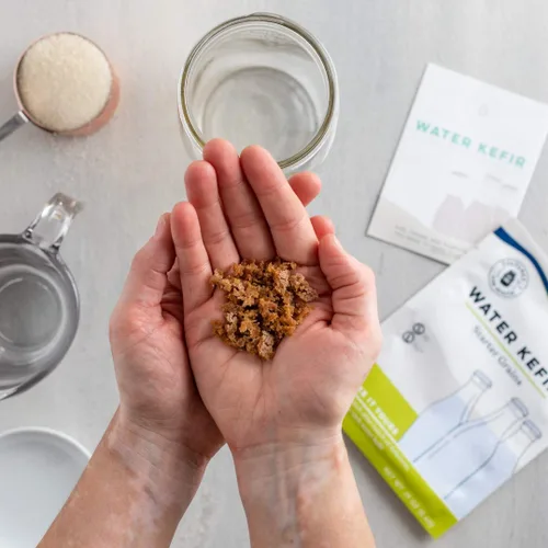 Miniatura 3 de Cultures for Health Paquete "sin preocupaciones" Entrantes para masa madre sin gluten, yogur vegano, kéfer de agua y tempeh sin soja