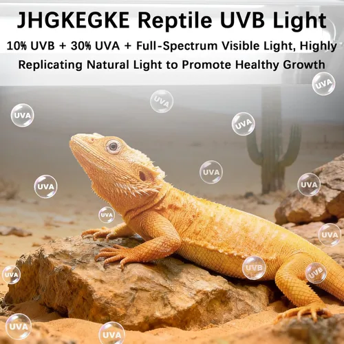 Miniatura 2 de T5 10.0 UVB - Kit combinado de lámpara de reptil UVB de 8 W de alto rendimiento con reflector de aleación más amplio mejorado para dragones