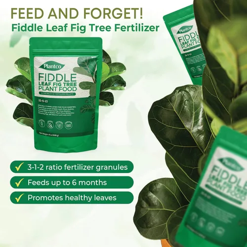 Miniatura 3 de Fiddle Leaf Fig Tree Plant Food - Fertilizer Granules Feed Continuously for 6 Months NPK 15-5-10 Slow-Release Fertilizer for Potted Fig Leaf and