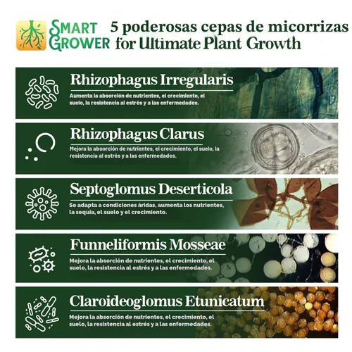 Miniatura 2 de Potenciador de raíces de hongos micorrízicos orgánicos para plantas, súper potente 100 esporas por gramo, mezcla de 5 cepas, resultados rápidos