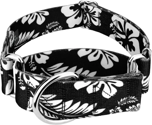 Miniatura 12 de Country Brook Petz HossFit Jr - Collar ancho Martingala para perro, colección Summer Breeze con diseños soleados (Anchors Away, M)