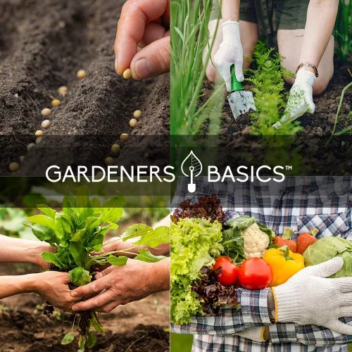 Miniatura 7 de Kit de jardín de semillas de verduras de supervivencia, más de 16,000 semillas sin OMG y criollas, ideal para equipo de supervivencia de emergencia
