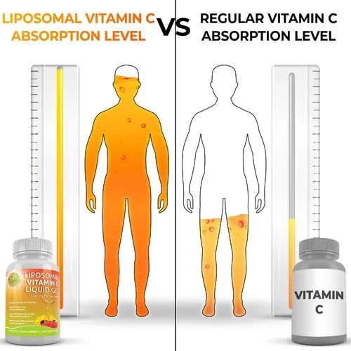 Miniatura 7 de Paquete de apoyo para el sistema inmunológico: quercetina con bromelina + vitamina C liposomal 1100 mg gel líquido + multivitamínico integral sin