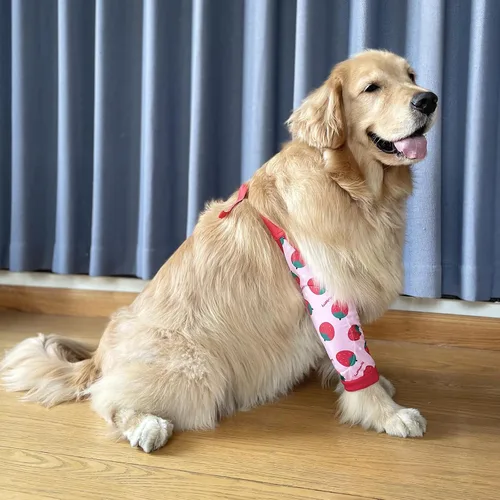 Miniatura 4 de Manga de recuperación para perros con banda elástica para piernas o articulaciones lesionadas, tirantes ajustables para patas delanteras de rosado