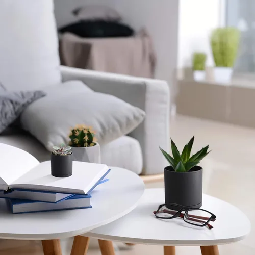 Miniatura 6 de D'vine Dev Paquete de 10 macetas de plástico para plantas, maceta cilíndrica para suculentas de interior de 6.5/6/5.5/4.5/4/3.5/3/2.5/2 pulgadas