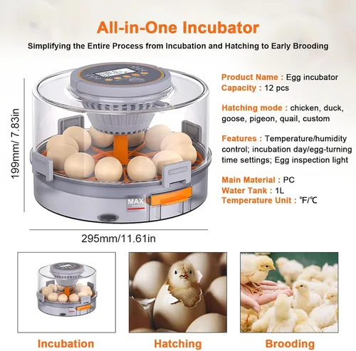 Miniatura 7 de 12 incubadoras de huevos para incubar huevos, incubadora de huevos con rotación automática de huevos, control de humedad y temperatura, vela