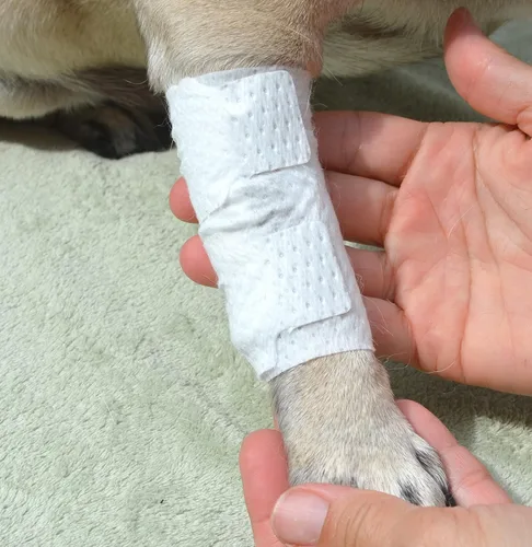 Miniatura 4 de PawFlex Vendajes para heridas articulares y de área grande para perros, gatos y otras mascotas. Ideal para esguinces de articulaciones de piernas