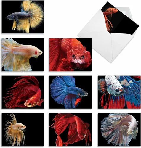 Miniatura 20 de The Best Card Company - 10 tarjetas en blanco para todas las ocasiones (4 x 5.12 pulgadas) - Surtido de tarjetas náuticas, oceánicas, de vida marina