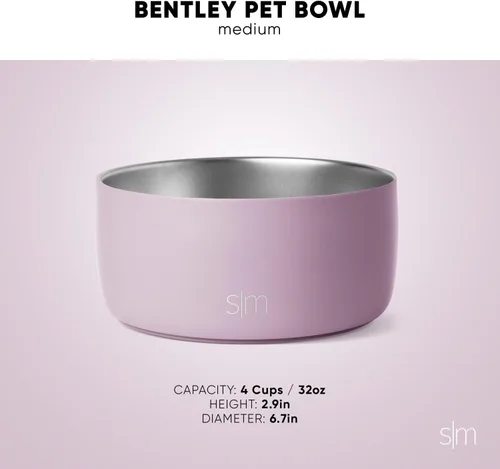 Miniatura 4 de Simple Modern Tazón de Agua de Acero Inoxidable para Mascotas para Perros y Gatos Tazones de Comida de Acero Inoxidable Aislados para Perros