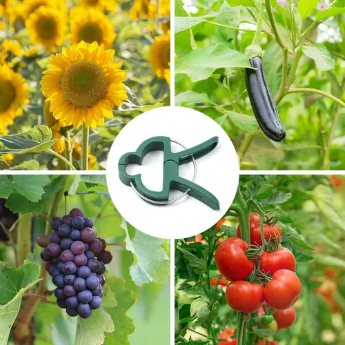 Miniatura 4 de 20 piezas de clips suaves para plantas y flores para apoyar tallos