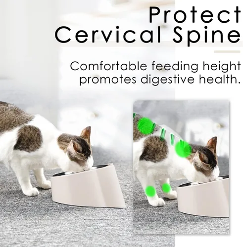 Miniatura 3 de 15 comedero inclinado para gatos, ortopédico, antivómitos, a prueba de derrames, elevado, inclinado, acero inoxidable, blanco